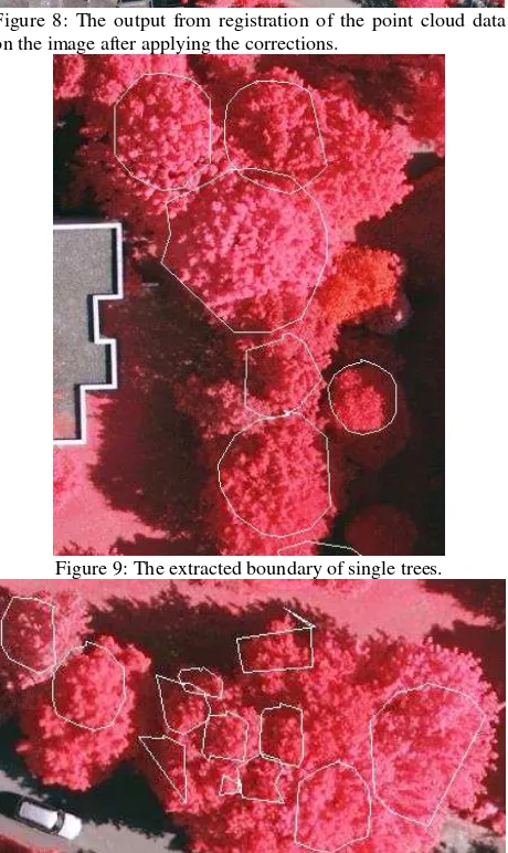 Figure 9: The extracted boundary of single trees. 