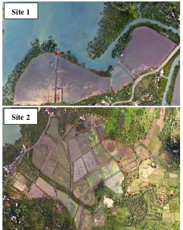 Figure 11. Validation points (red dots) overlaid on the  orthophotographs. 