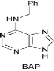 Gambar 5. Struktur molekul BAP (Salisbury & Ross 1995). 