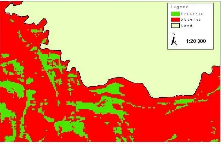 Figure 5. Final seagrass cover map (Green = Presence, Red = Absence) 