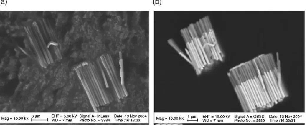 Gambar batang nano Ni / Au yang dibentuk oleh (a) sinyal elektron 