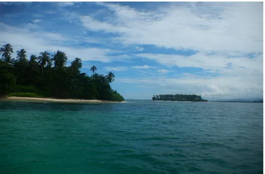 Gambar 2.6 Pulau Dua Kabupaten Aceh Selatan 63