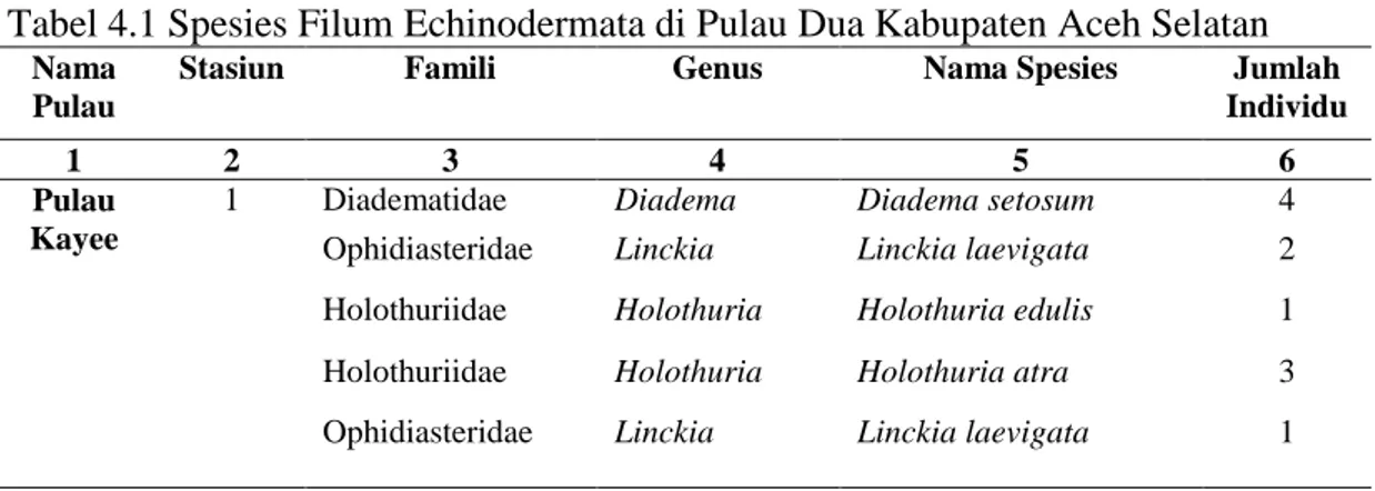 Tabel 4.1 Spesies Filum Echinodermata di Pulau Dua Kabupaten Aceh Selatan  Nama 