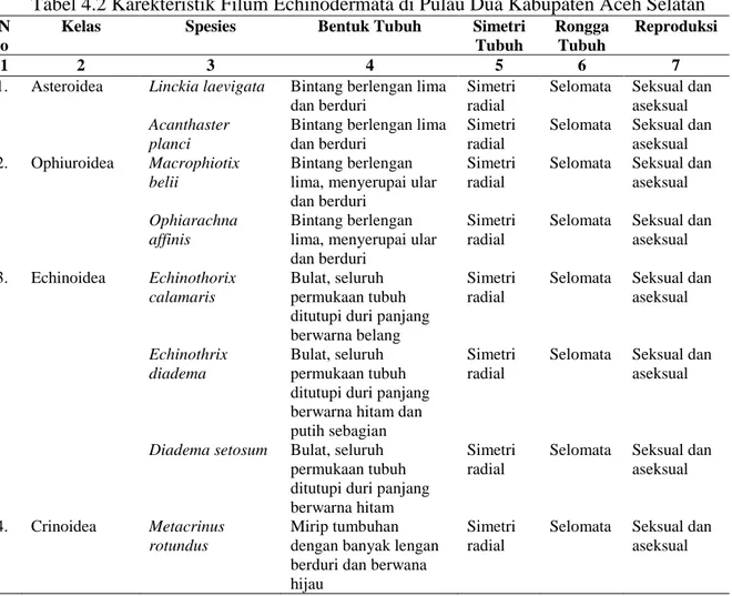 Tabel 4.2 Karekteristik Filum Echinodermata di Pulau Dua Kabupaten Aceh Selatan   N