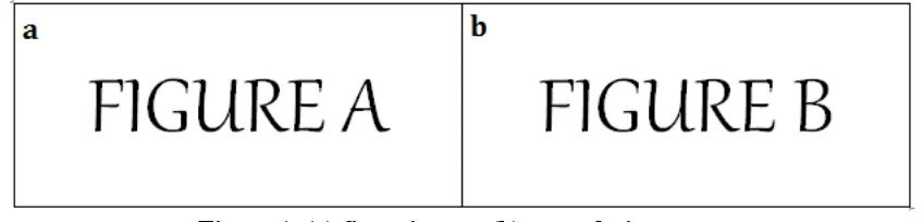 Figure 1. (a) first picture; (b) second picture.