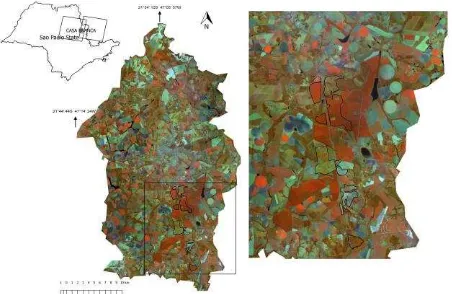 Figure 1. False color (bands 5, 6 and 4 in red, green and blue respectively) OLI Landsat imagery of the study area 
