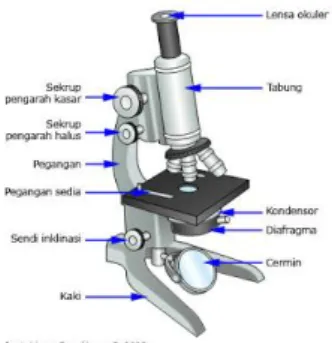 Gambar 2.4 Mikroskop 