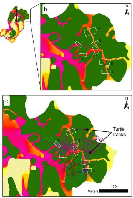 Figure 4. b) Shows location of corridors visually identified 