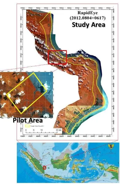 Figure 1. Study area and pilot area 