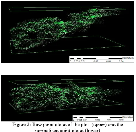 Figure 2: Geotagged trees within the 10x10m grid plots 