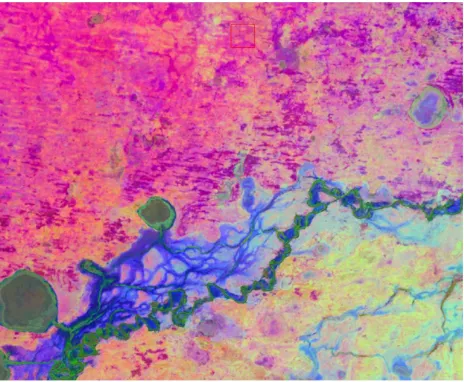Figure 1. First three principle component of seasonal EVI standardized anomalies 1986-2011 on RGB showing contrasting vegetation response pattern over different dryland areas and floodplain units and lakes  