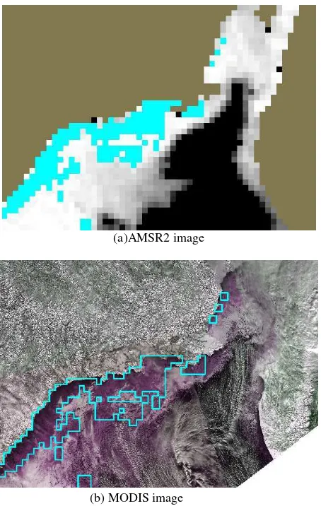 Figure 9. Thin ice area extraction result (Cyan: extracted area)  (Sea of Okhotsk, February 26, 2014) 