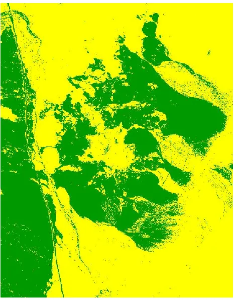 Figure 2. Distribution of hydrothermal alteration areas (green) and unaltered rocks (yellow)