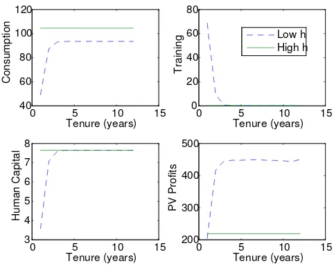 Figure 5: Tenure Pro…les for New Workers with Di¤erent Levels of Human Capital