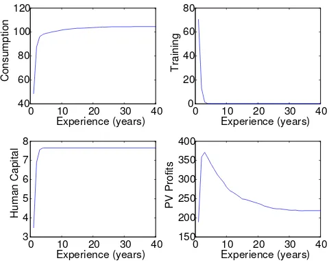 Figure 6: Simulated Experience Pro…les for the Average Worker