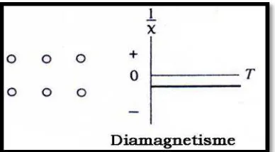 Gambar 2.4 Arah domain dan kurva bahan Diamagnetik 