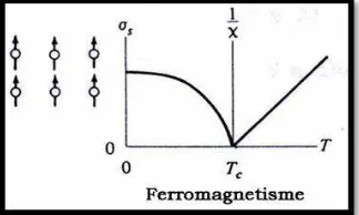 Gambar 2.6 Arah domain dan kurva bahan Ferromagnetik 