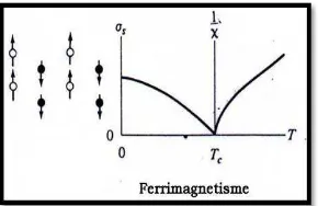 Gambar 2.9 Kurva Histerisis. 