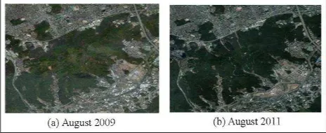 Figure 5. Digital maps of the disaster area 