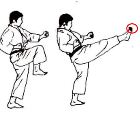 Gambar 13. Posisi Menendang  www.technique-karate.com/images/mae-geri.jpg 