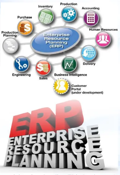 Gambar 2.9 - Entreprise Resources Planning (ERP) (http://www.ndimensionz.com)