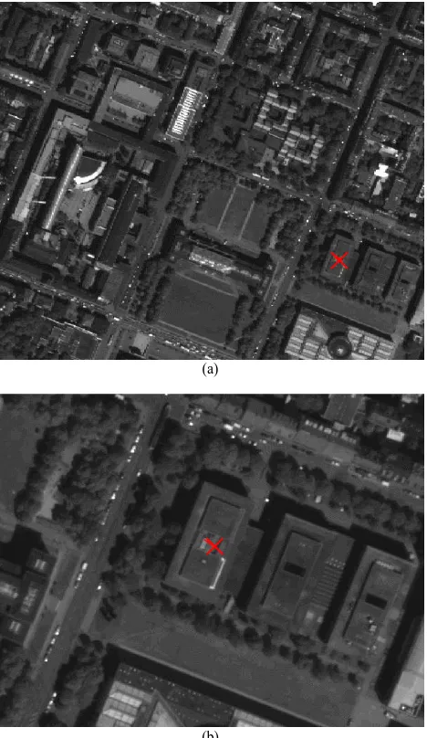 Figure 2. Panchromatic Worldview-2 image with a mean pixel spacing of 49cm. (a) Overview