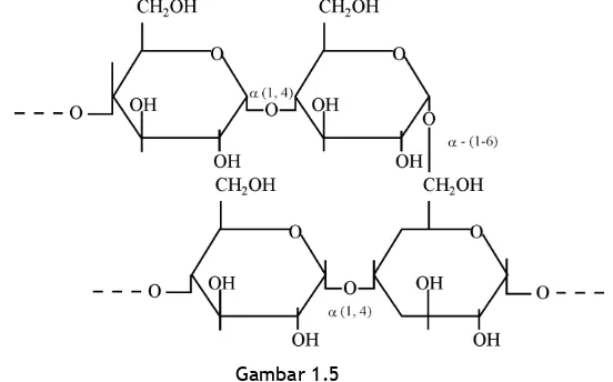 Gambar 1.5 Struktur glikogen, suatu polimer besar dari glukosa, merupakan karbohidrat 