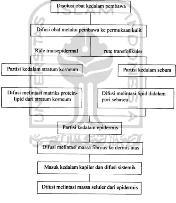 Gambar 1. Skema absorpsi perkutan (Syukri, 2002)