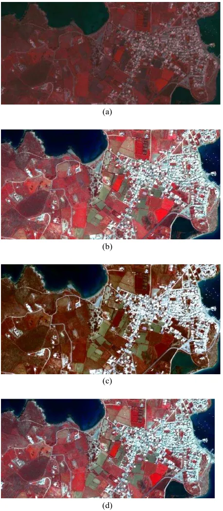 Figure 3: A zoom of the original MS image (a) and the Pansharpening results from IHS (b), Brovey (c) and PCA (d) 