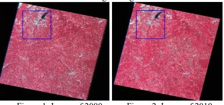 Figure 1. Image of 2000           Figure 2. Image of 2010  The Landsat images are pre-processed with geometric 