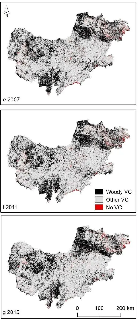 Figure 3. Woody cover, other vegetation and no vegetation cover for the years 1990 to 2015