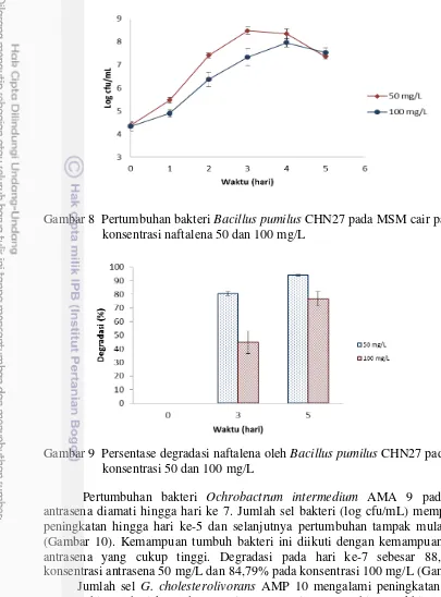 Gambar 8  Pertumbuhan bakteri Bacillus pumilus CHN27 pada MSM cair pada  