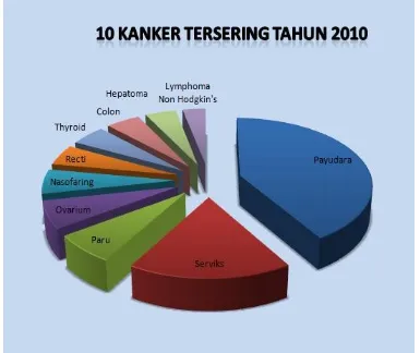 Gambar 3.  10 Besar Kanker Tersering di RSKD (Kasus Baru) Tahun 2010.(Sumber: Bidang Rekam Medik RSKD) 