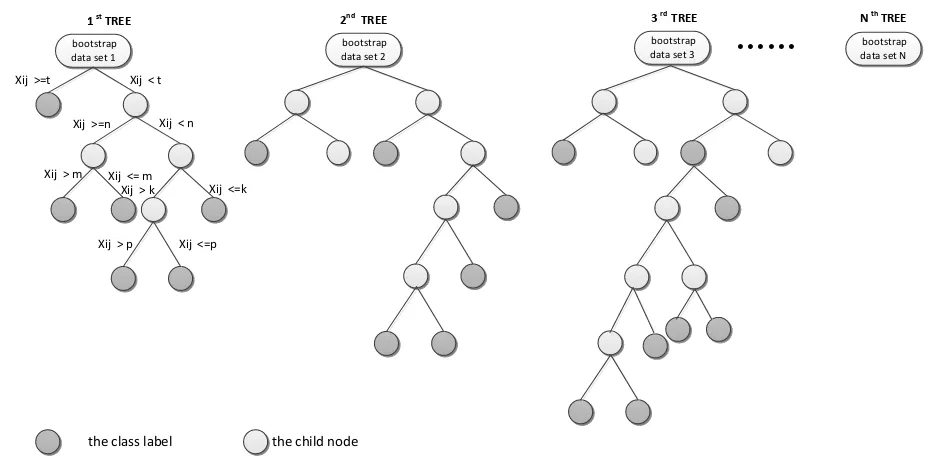 Figure 1.  Tree models of RF 