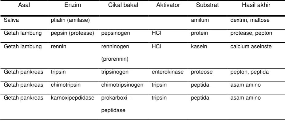 Tabel. Enzim utama  pada  pencernaan. 