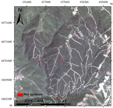 Figure 1. The location of the study area, (a) in the geographical area of Greece, (b) a zoom of the study area in the map shown in 1(a), (c) the boundaries of the University Forest of Taxiarchis on Google Earth © Google Earth, copyright 2016