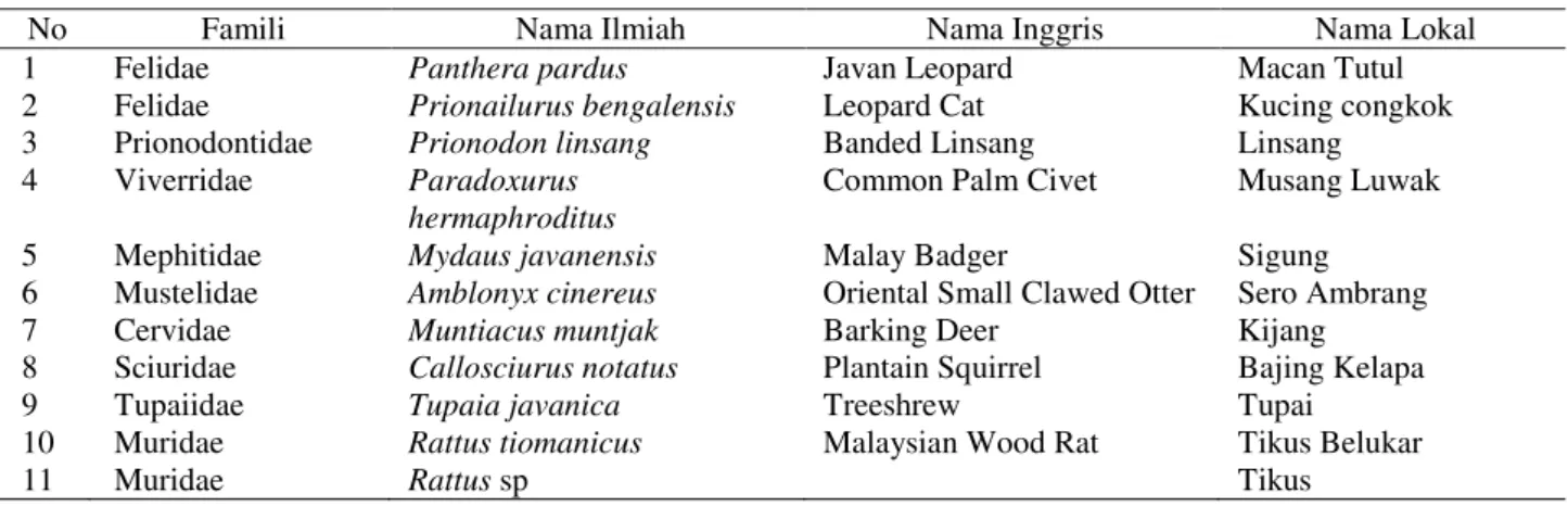 Tabel 1.  Hasil perolehan gambar mamalia yang tertangkap oleh kamera jebakan 
