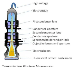 Gambar 2.7. Mikroskop Elektron 