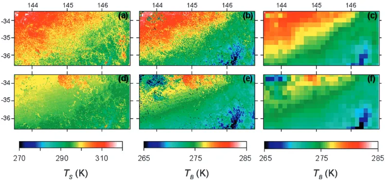 FIG. 2. Spatial ﬁelds for the Murrumbidgee River catchment region of southeastern Australia of (a),(d) modeled