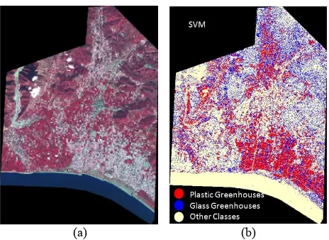 Figure 2. The infrared color composite of KumlucaWorldView-2 satellite imagery (a) and the SVM classificationresult (b).