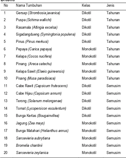 Table 1. Nama Tumbuhan Monokotil dan Dikotil Yang Diteliti 