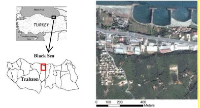 Figure 1. Location of the study area, Yomra district of Trabzon, Turkey. 