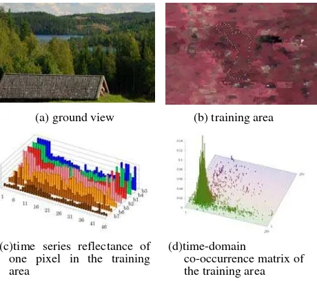 Figure 5.  Training data example for "evergreen needleleaf                          forest"