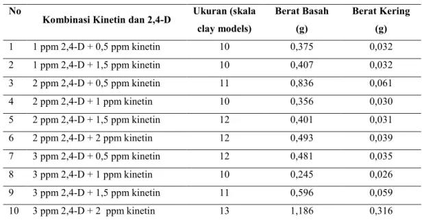 Tabel 3. Ukuran, berat basah dan berat kering kalus asal eksplan batang krisan   (C. morifolium Ramat cv