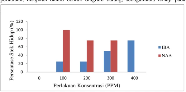 Gambar 4.1 Persentase stek hidup (%) Cempaka (Michelia champaca L.) dengan  pemberian auksin jenis  IBA pada konsentrasi 0 ppm (kontrol), 100  ppm, 200 ppm, 300 ppm, dan 400 ppm