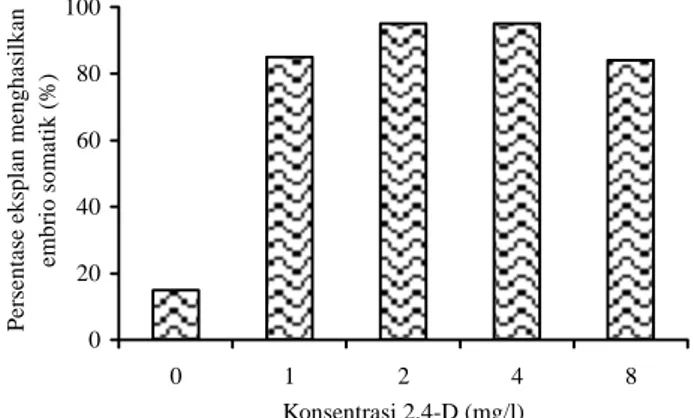 Gambar 6. Pengaruh konsentrasi 2,4-D yang dikombinasi- dikombinasi-kan dengan 0,1 mg/l kinetin terhadap jumlah  total embrio somatik langsung yang terinduksi