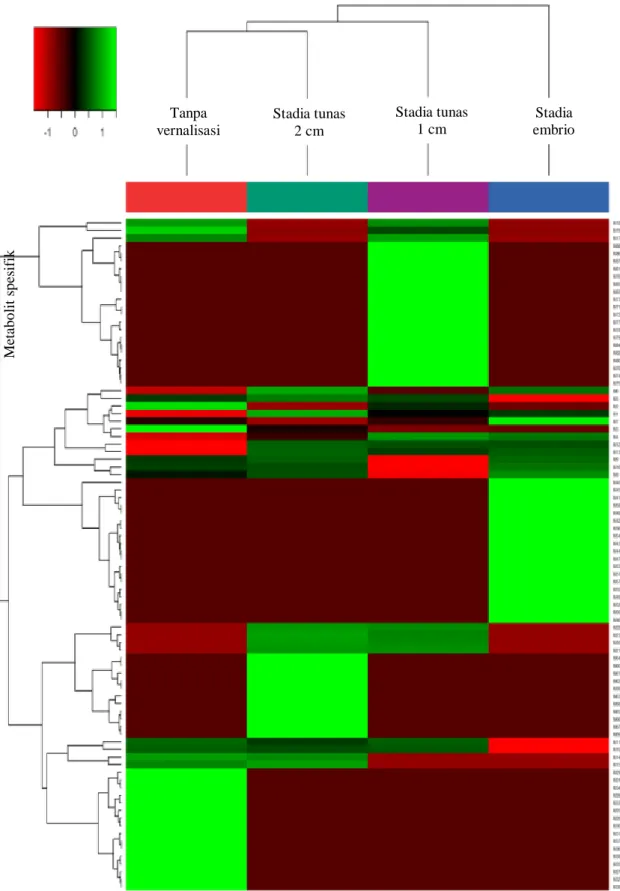 Gambar 1. Heatmap dari 104 metabolit dalam bawang merah genotipe Bima Brebes. Matriks dengan  kode  warna  mewakili  nilai  rata-rata  intensitas  metabolit  genotipe  bawang  merah  'Bima  Brebes'