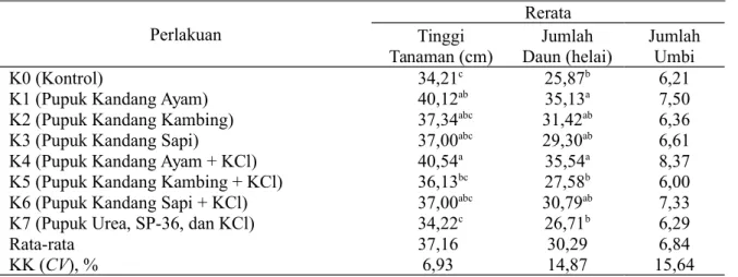 Tabel   1   menunjukkan   bahwa   parameter jumlah daun di antara pelakuan pemberian pupuk kandang, dapat diketahui bahwa perlakuan pupuk kandang ayam (K1) dan  pupuk kandang ayam + KCl (K4) tidak berbeda nyata dibandingkan pupuk kandang kambing (K2), pupu