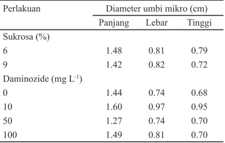 Tabel 1.  Pengaruh  tunggal  pemberian  sukrosa  dan  daminozide terhadap jumlah umbi mikro pada 10  MSP di ujung stolon
