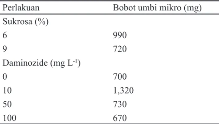 Tabel 3.  Pengaruh  tunggal  pemberian  sukrosa  dan  daminozide  terhadap  bobot  umbi  mikro  pada  10  MSP